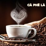 ca phe la gi