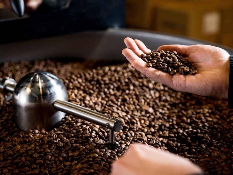 Tuyển chọn cà phê hạt kỹ lưỡng Nguồn cà phê rang xay nguyên chất được chọn lọc từ những hạt cà phê chín đều, đảm bảo độ sạch và hương thơm tự nhiên ngay từ đầu vào.