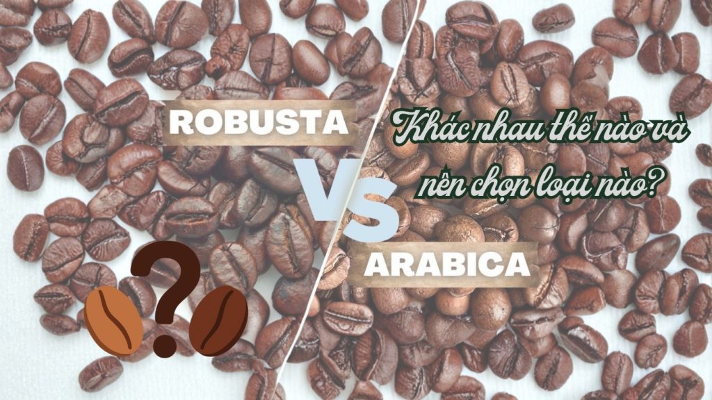 Arabica và Robusta: Khác nhau thế nào và nên chọn loại nào? thêm tiêu đề