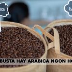 arabica hay robusta ngon hon