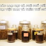 cac loai hat ca phe pho bien