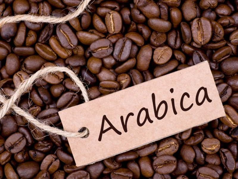Cà phê hạt loại nào ngon nhất? Gợi ý theo từng khẩu vị 2. Arabica – Lựa chọn cho người thích vị thanh, thơm, hậu ngọt Arabica, hay còn gọi là cà phê chè, thường được đánh giá cao bởi hương thơm phong phú, vị chua thanh và hậu vị nhẹ nhàng. So với Robusta, Arabica có hàm lượng caffeine thấp hơn, vị mềm hơn và thường mang nhiều tầng hương như trái cây, hoa, mật ong, caramel hoặc chocolate tùy vùng trồng và cách rang. Ở Việt Nam, Arabica được trồng tại một số vùng có khí hậu mát mẻ và độ cao phù hợp như Cầu Đất, Sơn La, Mộc Châu, Khe Sanh. Trong đó, Arabica Cầu Đất là cái tên được nhiều người yêu cà phê biết đến nhờ hương vị thanh thoát, chua nhẹ và hậu ngọt dễ chịu. Nếu bạn không thích cà phê quá đắng mà muốn thưởng thức hương thơm tinh tế hơn, Arabica là lựa chọn đáng thử. Phù hợp với: pour over, cold brew, espresso nhẹ, pha máy, cà phê đen không đường. Gu vị: chua thanh, thơm, dịu, hậu ngọt.