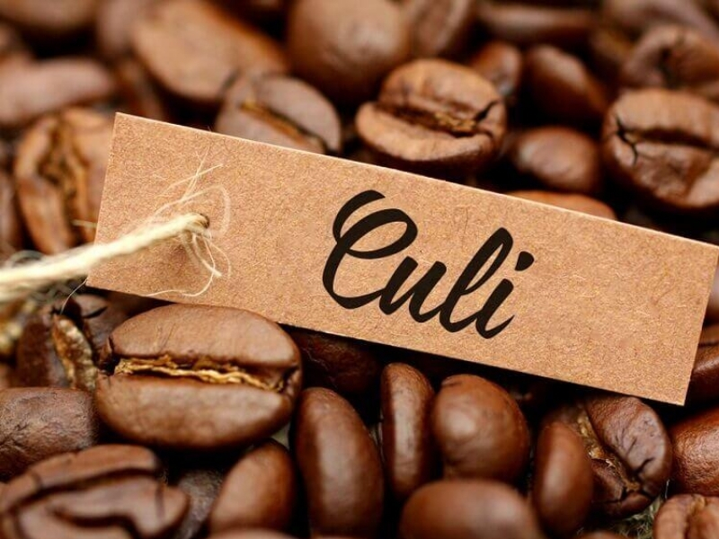 Cà phê hạt loại nào ngon nhất? Gợi ý theo từng khẩu vị 3. Culi – Lựa chọn cho người thích cà phê đậm đặc biệt Culi không phải là một giống cà phê riêng, mà là cách gọi những hạt cà phê tròn, chỉ có một nhân duy nhất trong trái cà phê. Trong khi phần lớn trái cà phê có hai nhân, hạt Culi là dạng hạt tự nhiên có tỷ lệ xuất hiện thấp hơn, thường được tách riêng để rang và phối trộn. Cà phê Culi thường có hương vị đậm, vị đắng rõ, body dày và cảm giác mạnh hơn so với hạt thông thường cùng giống. Culi Robusta sẽ rất đậm và mạnh, còn Culi Arabica lại có độ thơm và độ chua thanh đặc trưng hơn.