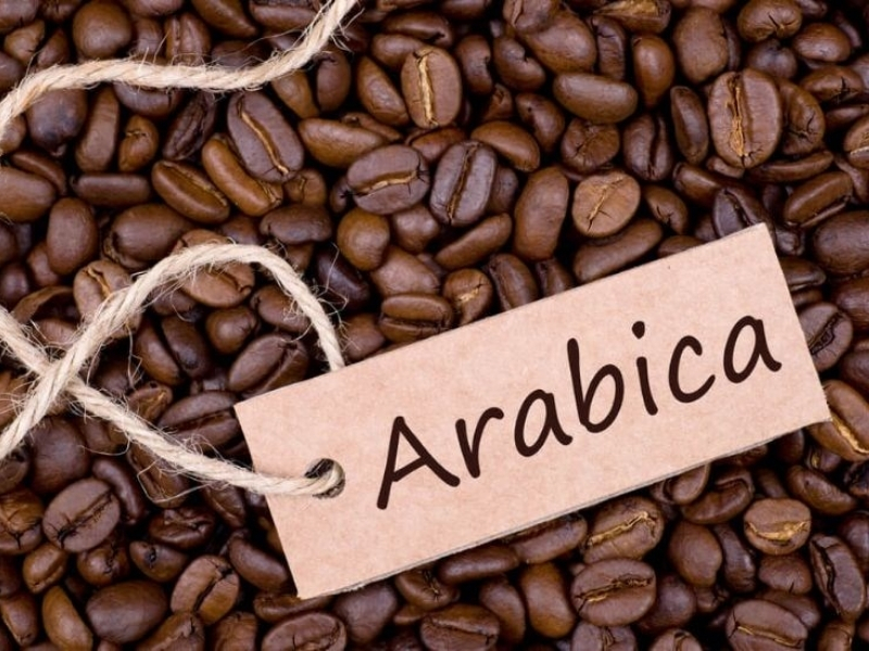 Arabica – Thơm nhẹ, dễ uống Arabica nổi bật với hương thơm tinh tế, vị chua thanh nhẹ và hậu vị ngọt dịu. Khi pha Cold Brew, loại hạt này giúp tạo nên thức uống êm mượt, dễ uống và phù hợp với người mới bắt đầu.
