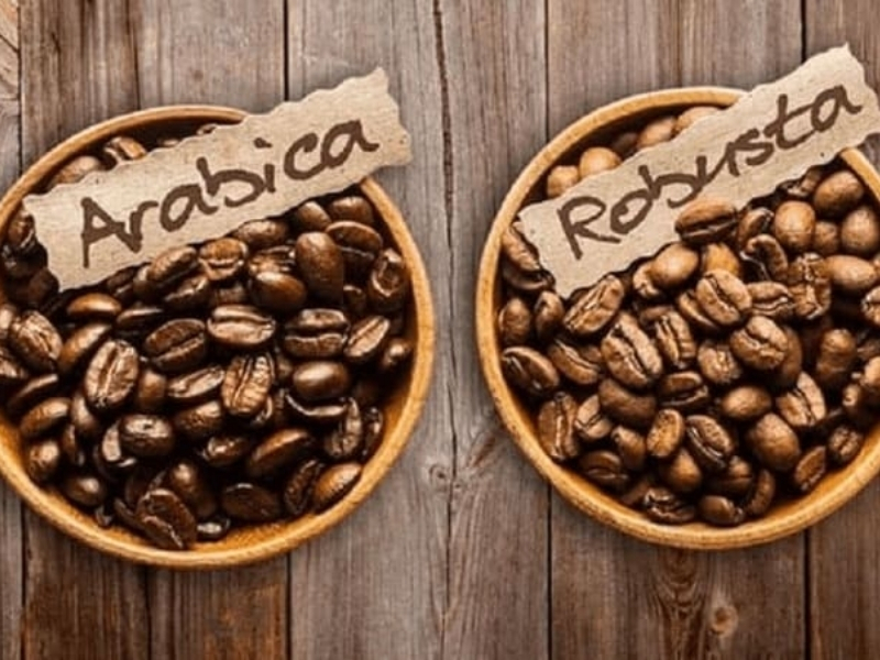 Arabica & Robusta – Cân bằng hoàn hảo Sự kết hợp giữa Arabica và Robusta giúp cân bằng giữa hương thơm và độ đậm. Nhờ đó, Cold Brew có hương vị hài hòa, dễ tiếp cận và phù hợp với đa số người thưởng thức.