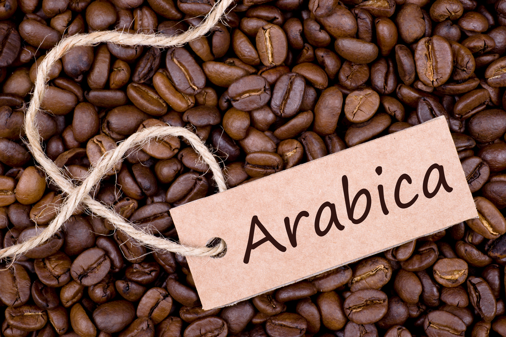 dinh nghia ve ca phe arabica 1