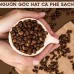 Nguồn gốc hạt cà phê sạch quyết định phần lớn chất lượng và hương vị của mỗi ly cà phê. Vậy bạn có biết tại FivCafe, những hạt cà phê có nguồn gốc từ đâu không?