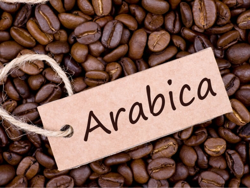 2. Arabica – Thơm nhẹ và thanh lịch Nếu bạn yêu thích mùi thơm và hậu vị ngọt thì Arabica là lựa chọn rất đáng thử. Đặc điểm Hương thơm trái cây, hoa. Vị chua thanh nhẹ. Đắng ít. Hậu vị ngọt. Arabica thường được trồng tại Đà Lạt hoặc Cầu Đất nhờ điều kiện khí hậu mát mẻ.