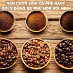 Nên chọn loại cà phê nào là câu hỏi được rất nhiều người quan tâm, đặc biệt là những ai mới bắt đầu uống cà phê hoặc muốn tìm một loại cà phê phù hợp với khẩu vị hằng ngày.