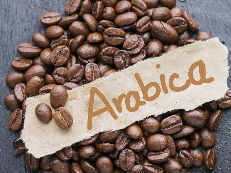 1. Arabica – Phù hợp với người thích cà phê thơm nhẹ, thanh tao Nếu bạn đang băn khoăn nên uống loại cà phê nào có hương thơm nhẹ, vị chua thanh và hậu ngọt dễ chịu thì Arabica là lựa chọn rất đáng thử. Arabica thường được đánh giá cao nhờ hương vị tinh tế, ít đắng hơn Robusta và có mùi thơm tự nhiên. Loại cà phê này phù hợp với những ai thích uống cà phê đen nhẹ, cà phê pha máy, pour over hoặc cold brew. Arabica cũng là lựa chọn tốt cho người mới bắt đầu uống cà phê vì hương vị không quá gắt. Khi được rang ở mức vừa, Arabica giữ được độ cân bằng giữa vị chua, hương thơm và hậu vị ngọt.