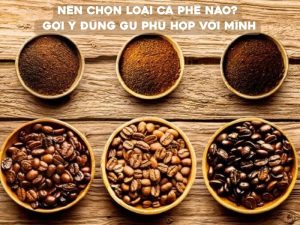 Nên chọn loại cà phê nào là câu hỏi được rất nhiều người quan tâm, đặc biệt là những ai mới bắt đầu uống cà phê hoặc muốn tìm một loại cà phê phù hợp với khẩu vị hằng ngày.