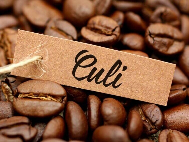 3. Culi – Dành cho người thích hương vị độc đáo, hậu vị lâu Culi là loại hạt cà phê đặc biệt, thường chỉ có một nhân tròn thay vì hai nhân như hạt cà phê thông thường. Nhờ đặc điểm này, cà phê Culi thường có hương vị đậm, mạnh và hậu vị kéo dài. Culi phù hợp với người đã quen uống cà phê và muốn tìm một trải nghiệm khác biệt hơn. Khi pha phin hoặc espresso, Culi có thể tạo ra ly cà phê đậm, thơm và có chiều sâu. Nếu bạn muốn biết nên chọn loại cà phê nào vừa mạnh vừa lạ miệng, Culi là một gợi ý đáng cân nhắc.
