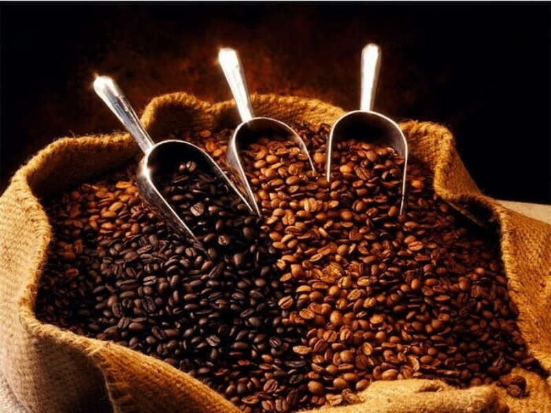 5. Cà phê Blend – Lựa chọn cân bằng, dễ uống mỗi ngày Cà phê Blend là sự phối trộn giữa nhiều loại hạt, phổ biến nhất là Arabica và Robusta. Mục đích của Blend là tạo ra hương vị cân bằng hơn: vừa có hương thơm nhẹ của Arabica, vừa có độ đậm và caffeine của Robusta. Nếu bạn chưa biết nên chọn loại cà phê nào để uống hằng ngày, cà phê Blend là lựa chọn an toàn. Dòng cà phê này phù hợp với nhiều khẩu vị, dễ pha, dễ uống và có thể dùng cho cả cà phê đen, cà phê sữa hoặc pha máy. Tại Fivcafe, các dòng cà phê được lựa chọn và phối vị theo hướng dễ uống, thơm tự nhiên, phù hợp với gu thưởng thức của người Việt.