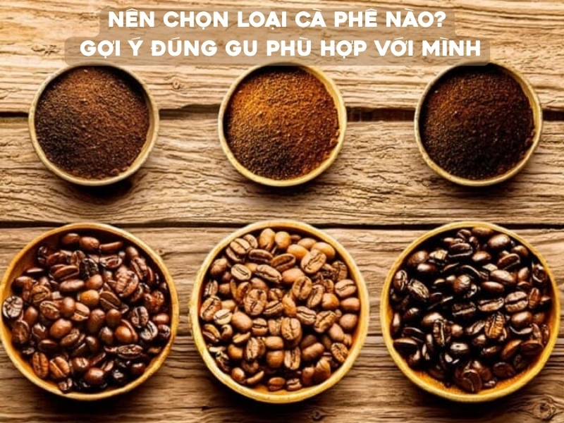 Nên chọn loại cà phê nào là câu hỏi được rất nhiều người quan tâm, đặc biệt là những ai mới bắt đầu uống cà phê hoặc muốn tìm một loại cà phê phù hợp với khẩu vị hằng ngày.