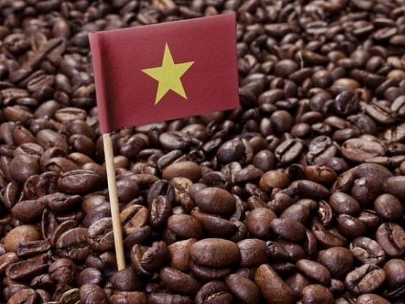 Nguồn Gốc Xuất Xứ Của Cây Cà Phê Và Hành Trình Chinh Phục Thế Giới Hương vị đặc trưng Mỗi giống cà phê đều mang hương thơm và hương vị riêng, từ thanh nhẹ của Arabica đến đậm đà của Robusta. Chính sự đa dạng này giúp cà phê phù hợp với nhiều khẩu vị và phương pháp pha chế khác nhau.