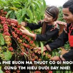 Cà phê Buôn Ma Thuột từ lâu đã gắn liền với vùng đất Tây Nguyên và văn hóa cà phê Việt Nam.
