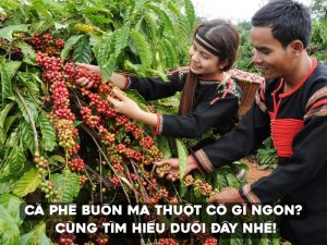 Cà phê Buôn Ma Thuột từ lâu đã gắn liền với vùng đất Tây Nguyên và văn hóa cà phê Việt Nam.