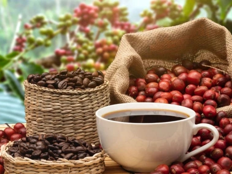 Hương trái cây nhẹ nhàng

Điểm nổi bật của Cherry là hương thơm gợi liên tưởng đến trái cây, đặc biệt khi được rang và pha phù hợp. Mùi hương nhẹ nhàng giúp tách cà phê trở nên thanh thoát và dễ thưởng thức.
