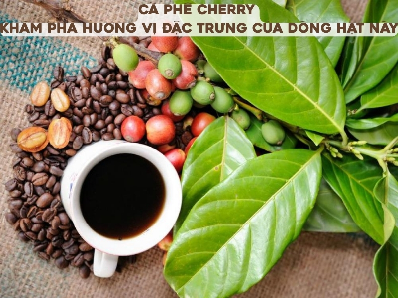 ca phe cherry