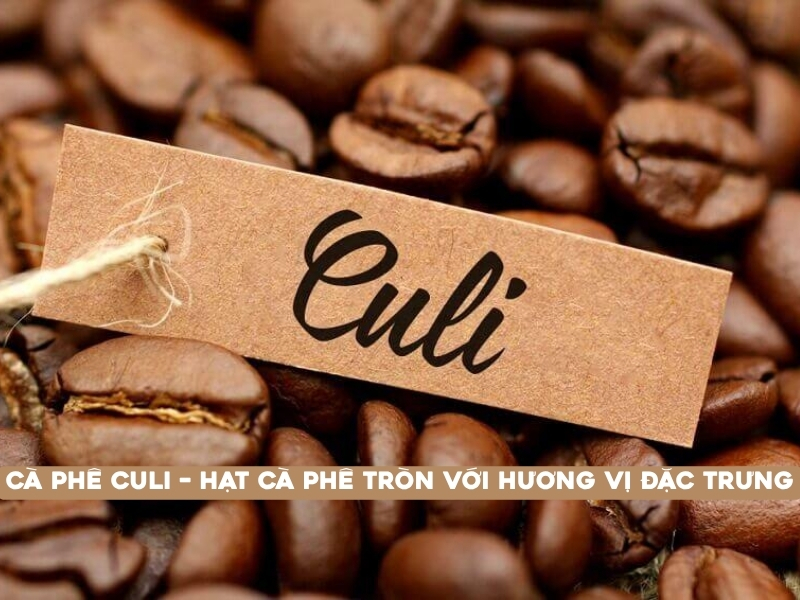Cà phê Culi nổi bật với hình dáng hạt tròn đặc biệt và thường được yêu thích bởi hương thơm rõ, vị đậm cùng hậu vị kéo dài.