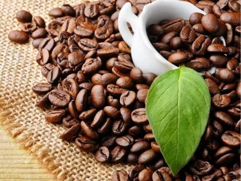 Ưu tiên nguồn gốc rõ ràng

Hãy chọn sản phẩm có thông tin minh bạch về vùng trồng, giống hạt, đơn vị sản xuất và quy trình chế biến. Nguồn gốc rõ ràng không chỉ giúp kiểm chứng chất lượng mà còn tạo sự an tâm khi sử dụng lâu dài.