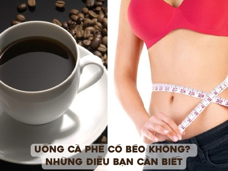 Uống cà phê có béo không? Câu trả lời là không, nếu bạn uống cà phê nguyên chất và sử dụng với lượng hợp lý.